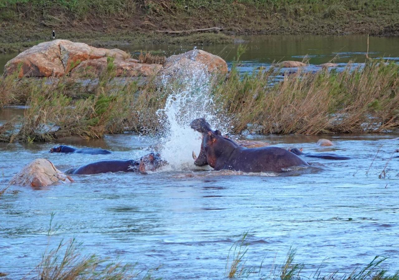 Kruger River Holiday Home Marloth Park Extérieur photo