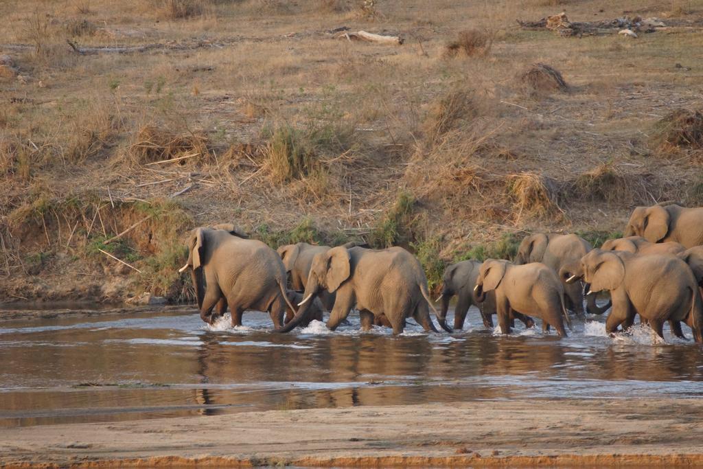 Kruger River Holiday Home Marloth Park Extérieur photo