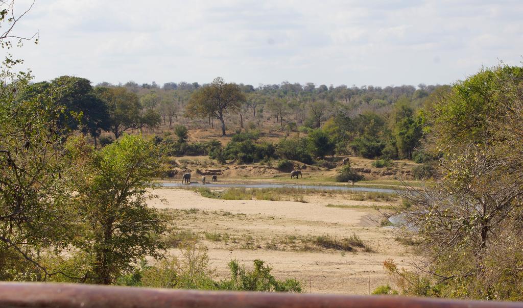 Kruger River Holiday Home Marloth Park Extérieur photo